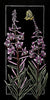 Fireweed Print