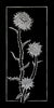 Milk Thistle Print