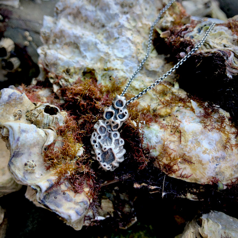 Barnacle Necklace